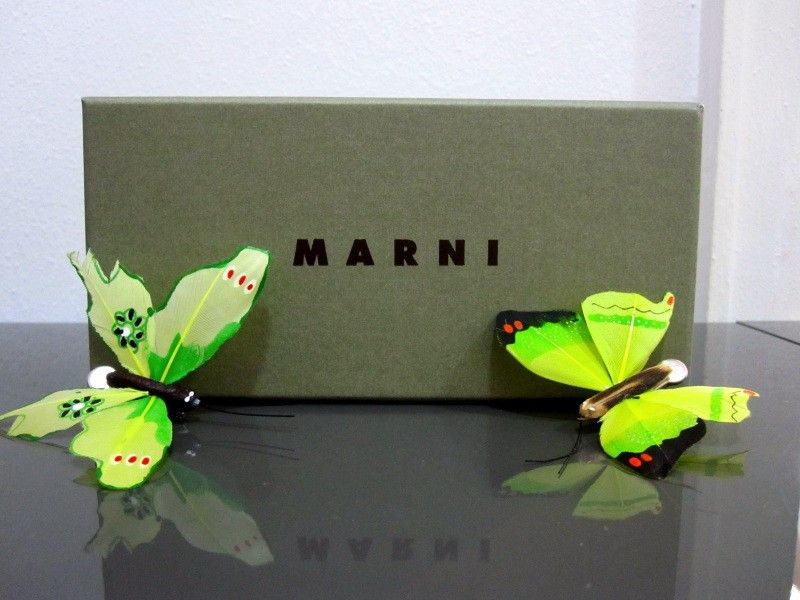 Lunettes de vue papillon dans la collection MARNI